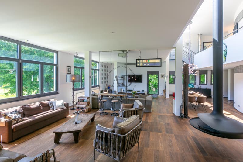Rare à la vente: Loft proche de Carouge (1)