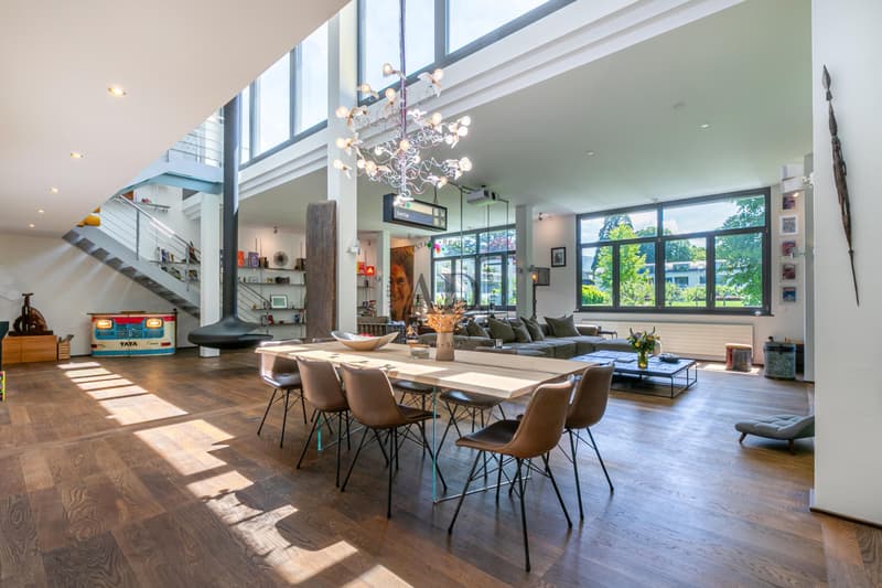 Rare à la vente: Loft proche de Carouge (2)