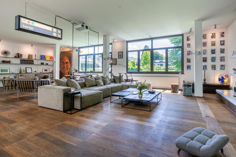 Rare à la vente: Loft proche de Carouge (3)