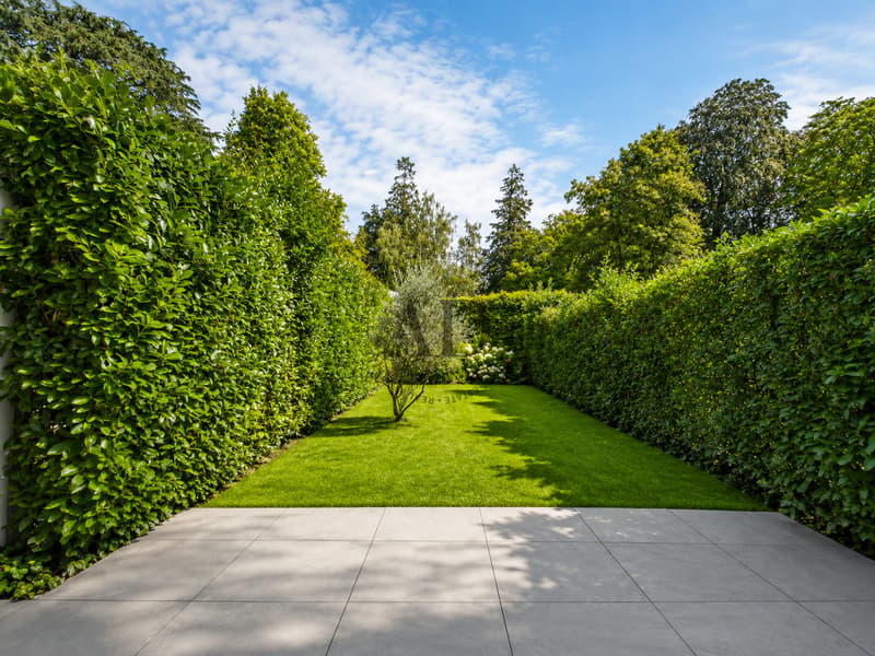 Magnifique townhouse (6)