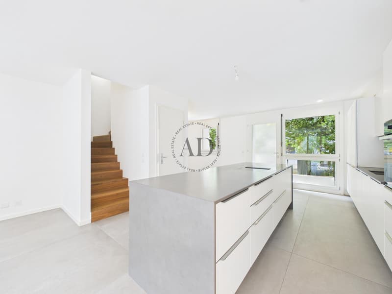 Magnifique townhouse (3)