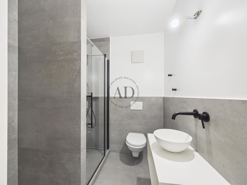 Magnifique townhouse (9)