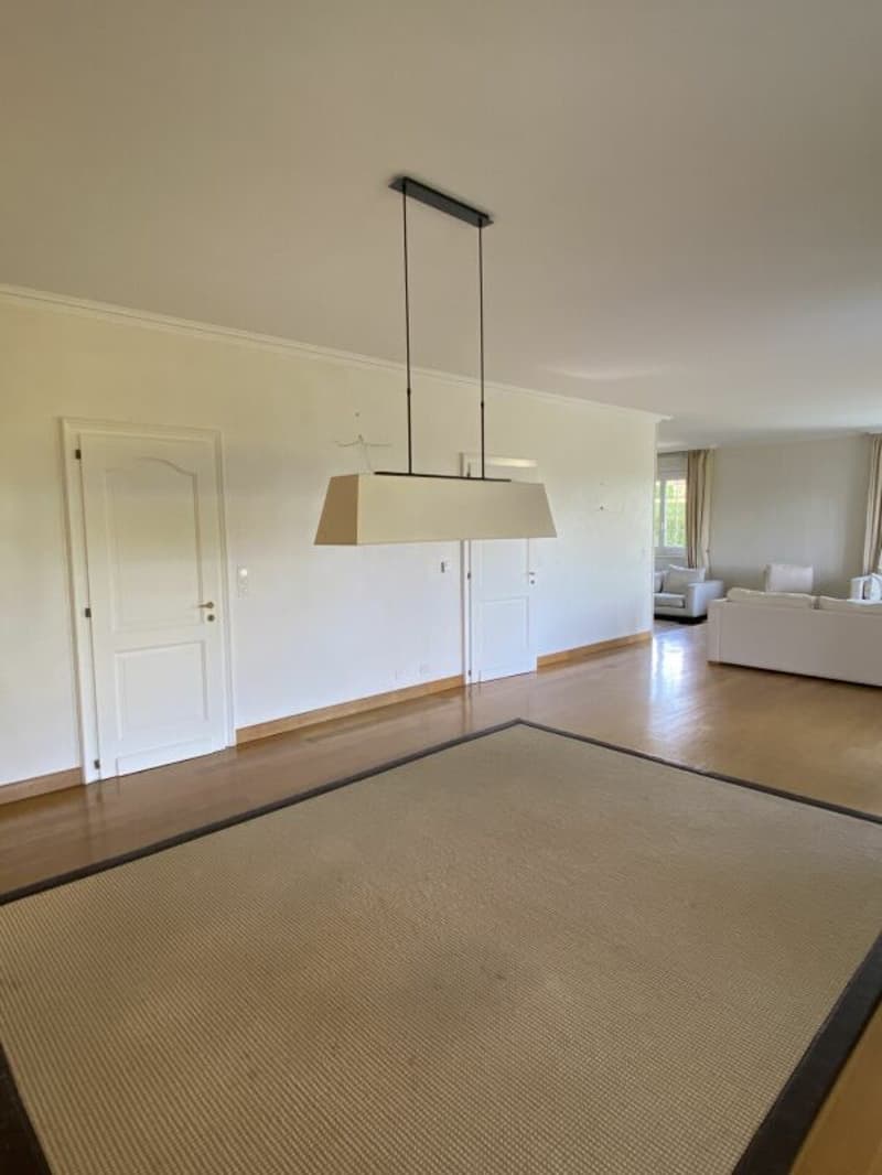 VILLA INDIVIDUELLE | CORSIER (17)