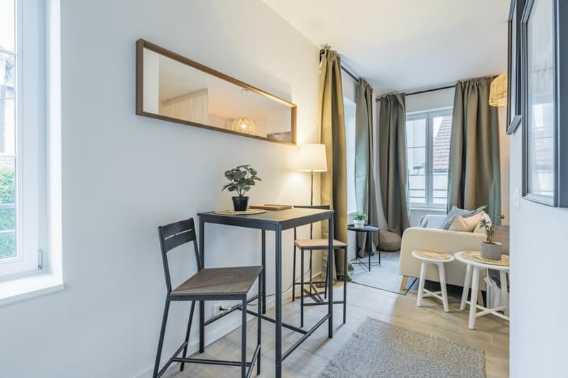 Appartement 1.5 pièces (5)