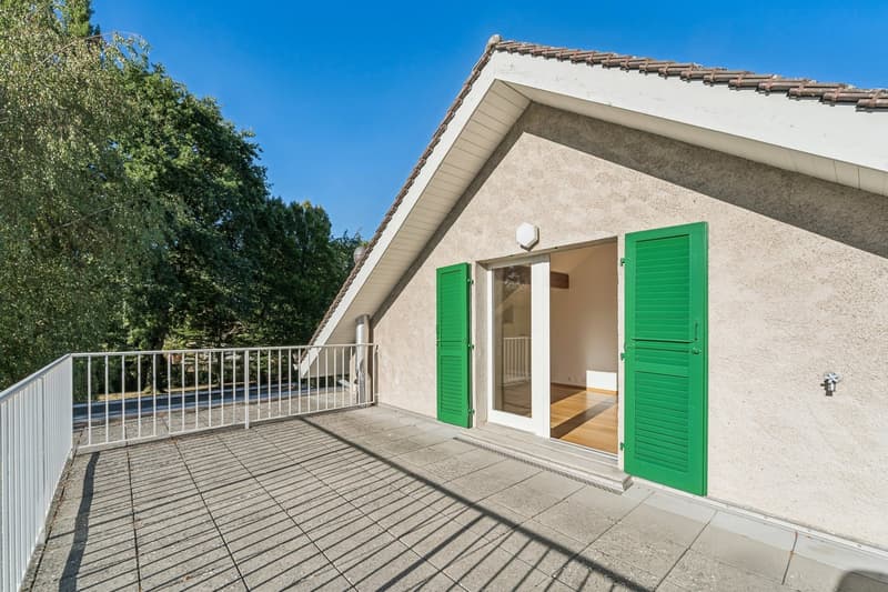 Magnifique villa contiguë (4)