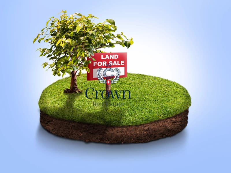 Your future begins here (1)