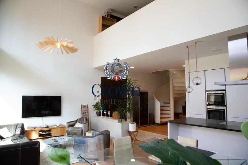 The space of a duplex, downtown Geneva 10 minutes away, everything within reach (10)