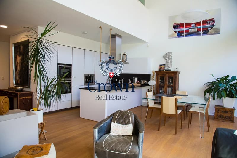 The space of a duplex, downtown Geneva 10 minutes away, everything within reach (1)