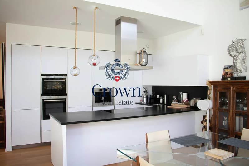 The space of a duplex, downtown Geneva 10 minutes away, everything within reach (2)