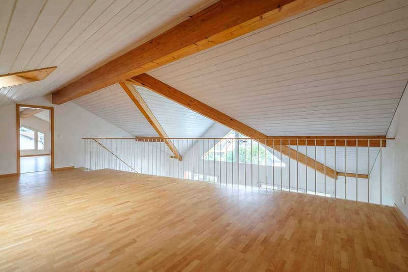 Superbe duplex de 5 pièces en attique avec une jolie vue sur le Salève (12)