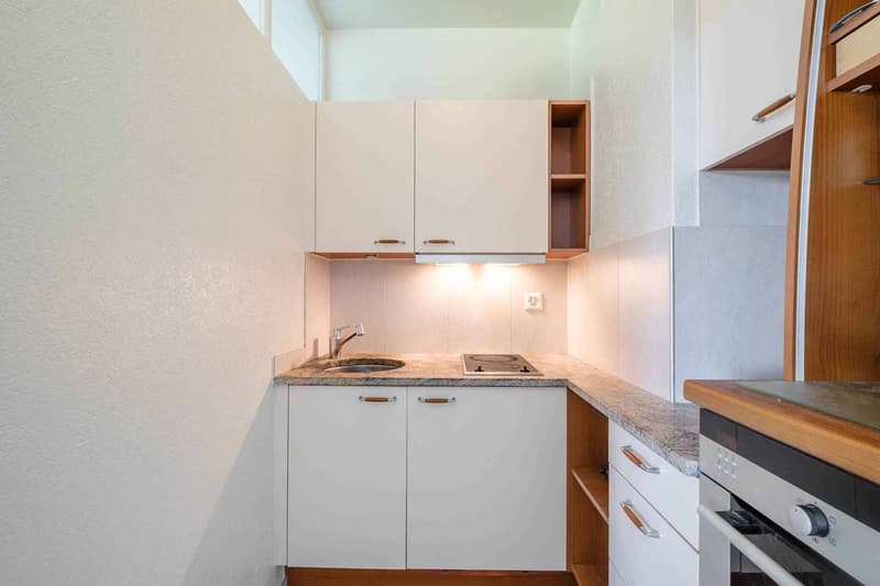 Bel appartement de 2 pièces avec vue aux Eaux-Vives (5)
