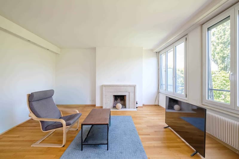 Bel appartement de 2 pièces avec vue aux Eaux-Vives (1)