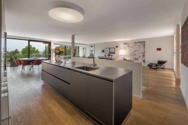 Coup de cur: sublime duplex contemporain avec jardins, vue sur les champs et le lac (6)