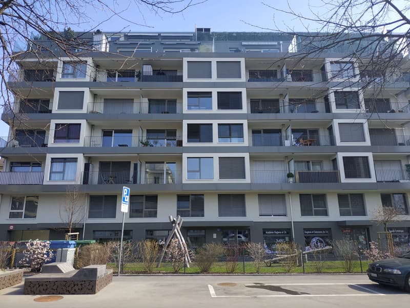 Places de parc intérieures doubles (pour deux véhicules l'un derrière l'autre) -  souterrain accessible uniquement par un ascenseur à voitures. (2)