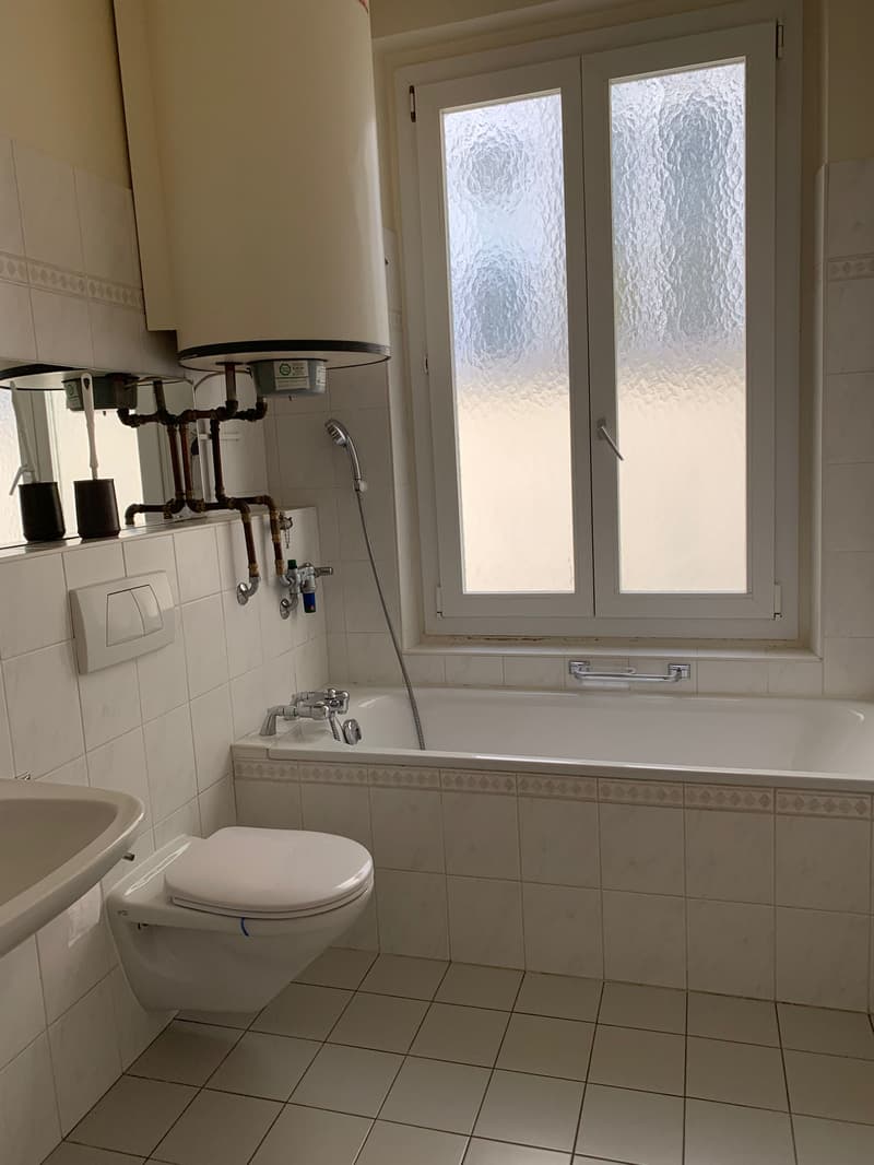 A louer pour une durée déterminée de deux ans. Très bel appartement avec beaucoup de cachet, idéalement situé (3)