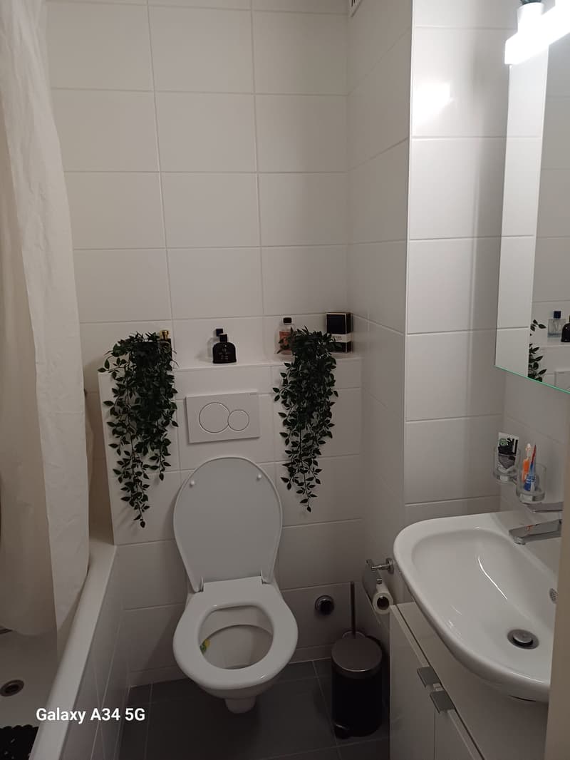 Logement idéalement situé avec belle vue sur le lac. (5)