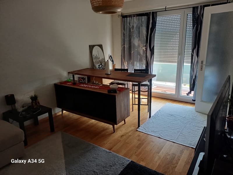 Logement idéalement situé avec belle vue sur le lac. (2)