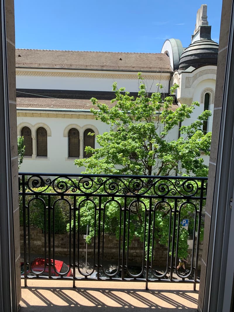 A louer pour une durée déterminée de deux ans. Très bel appartement avec beaucoup de cachet, idéalement situé (9)