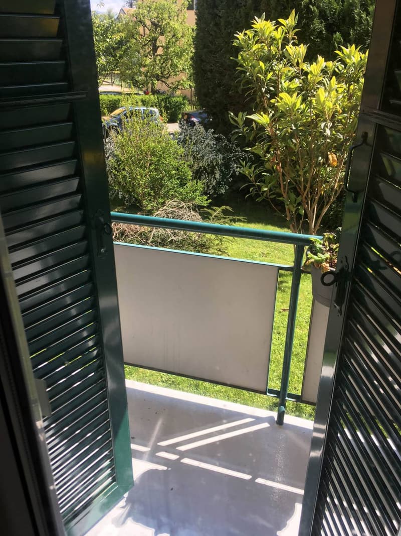 Appartement d'une pièce et hall avec balcon (4)