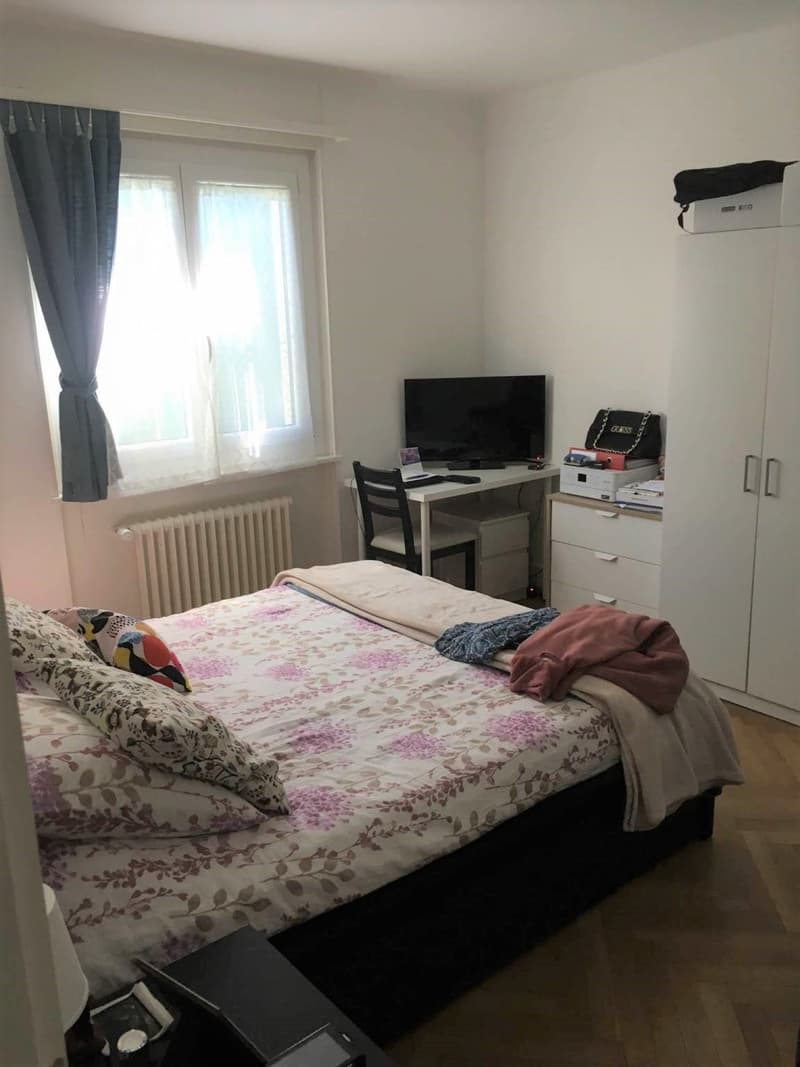 Appartement d'une pièce et hall avec balcon (3)