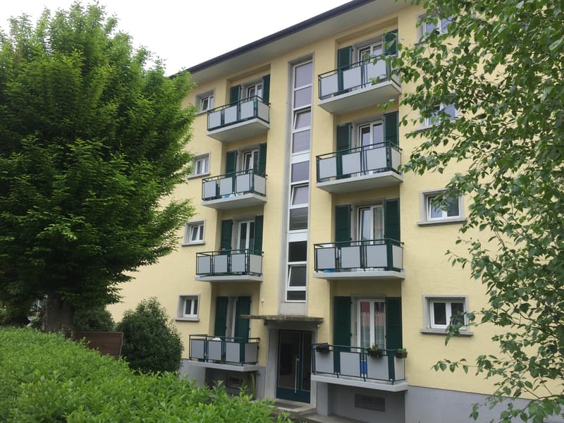 Appartement d'une pièce et hall avec balcon (1)