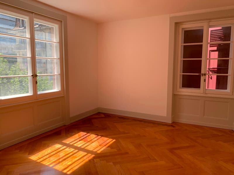 Superbe appartement rénové, offrant un cadre lumineux et spacieux, idéal pour une famille, (8)
