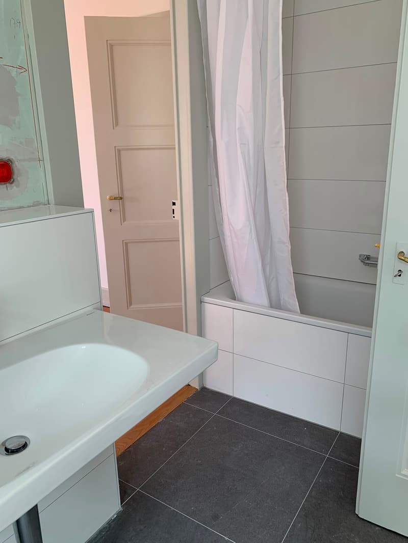 Superbe appartement rénové, offrant un cadre lumineux et spacieux, idéal pour une famille, (6)