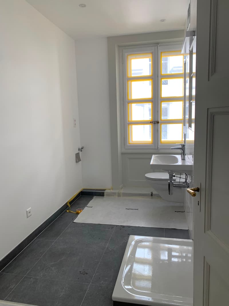 Superbe appartement rénové, offrant un cadre lumineux et spacieux, idéal pour une famille, (3)
