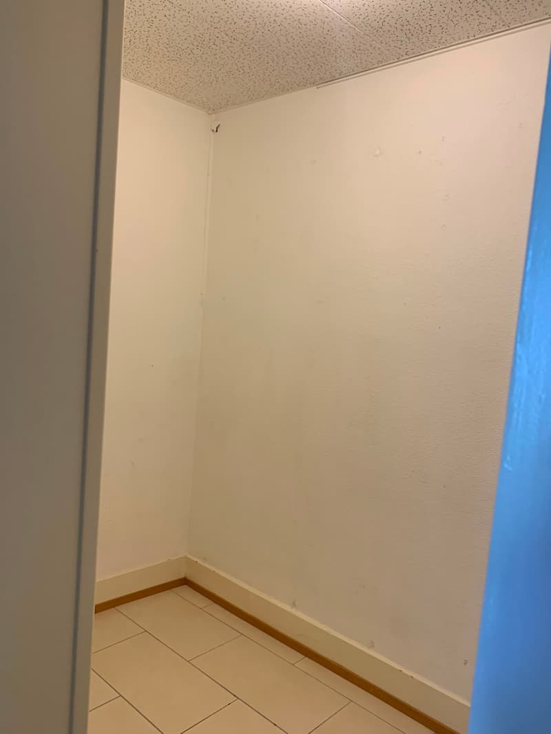 Très bel appartement avec beaucoup de cachet, spacieux et lumineux bénéficiant d'une belle échappée sur le lac (3)