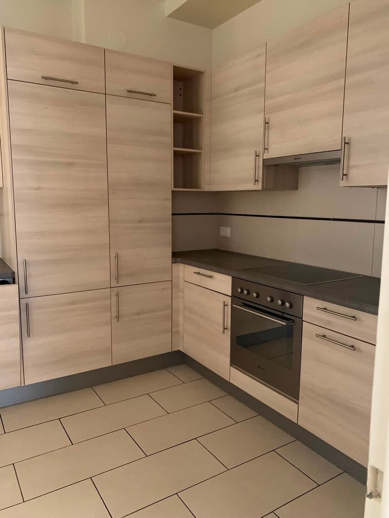 Très bel appartement avec beaucoup de cachet, spacieux et lumineux bénéficiant d'une belle échappée sur le lac (7)