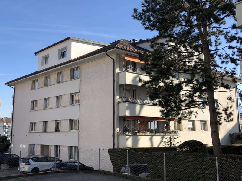Agréable et lumineux logement en cours de rénovation, idéal pour une famille, (1)