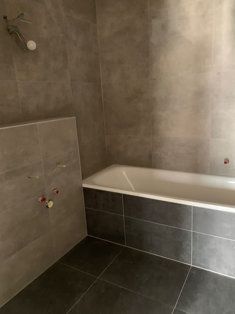 Agréable et lumineux logement en cours de rénovation, idéal pour une famille, (9)