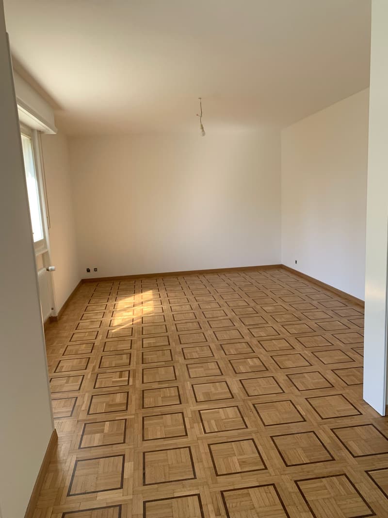 Agréable et lumineux logement en cours de rénovation, idéal pour une famille, (5)