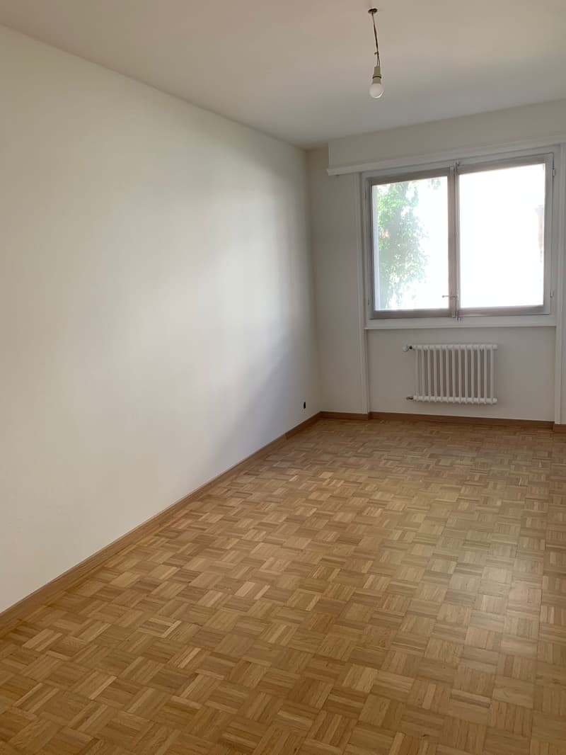 Agréable et lumineux logement en cours de rénovation, idéal pour une famille, (7)