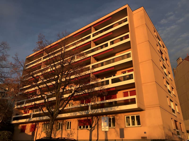 Locaux commerciaux au rez (1)