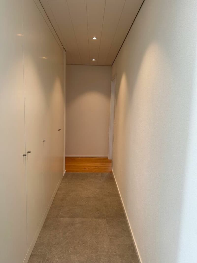 Penthouse 4.5 rooms in Bursins (6)