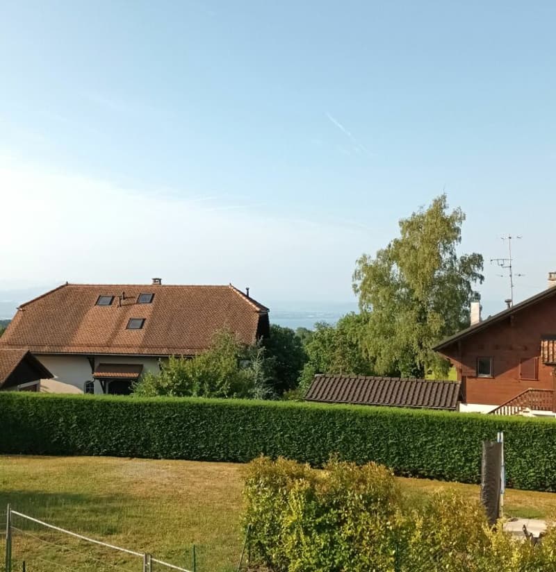 Opportunité à saisir - Dernière villa semi-individuelle avec dégagement sur les Alpes ! (2)
