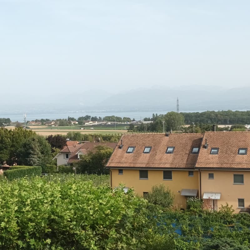 Superbe attique neuf de 4.5 pièces avec vue lac à l'horizon (1)