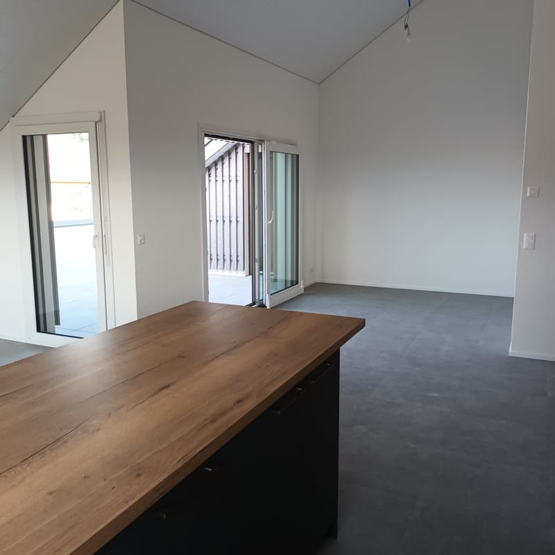 Appartement attique neuf de 4.5 pièces avec vue lac à l'horizon (4)