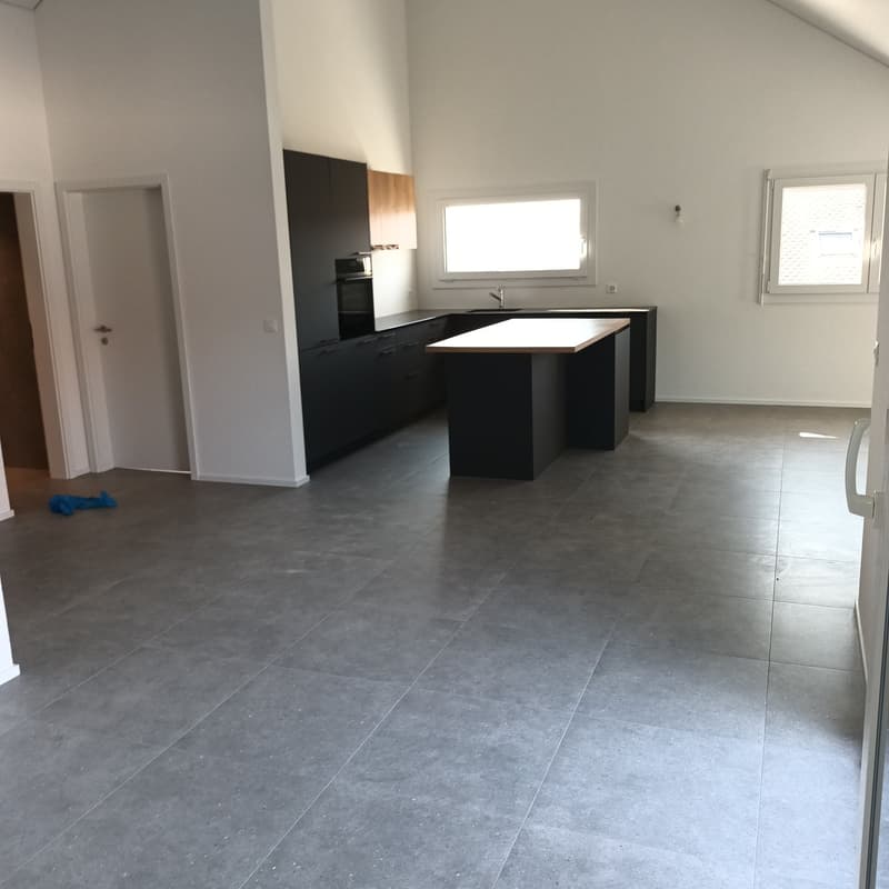 Appartement attique neuf de 4.5 pièces avec vue lac à l'horizon (3)