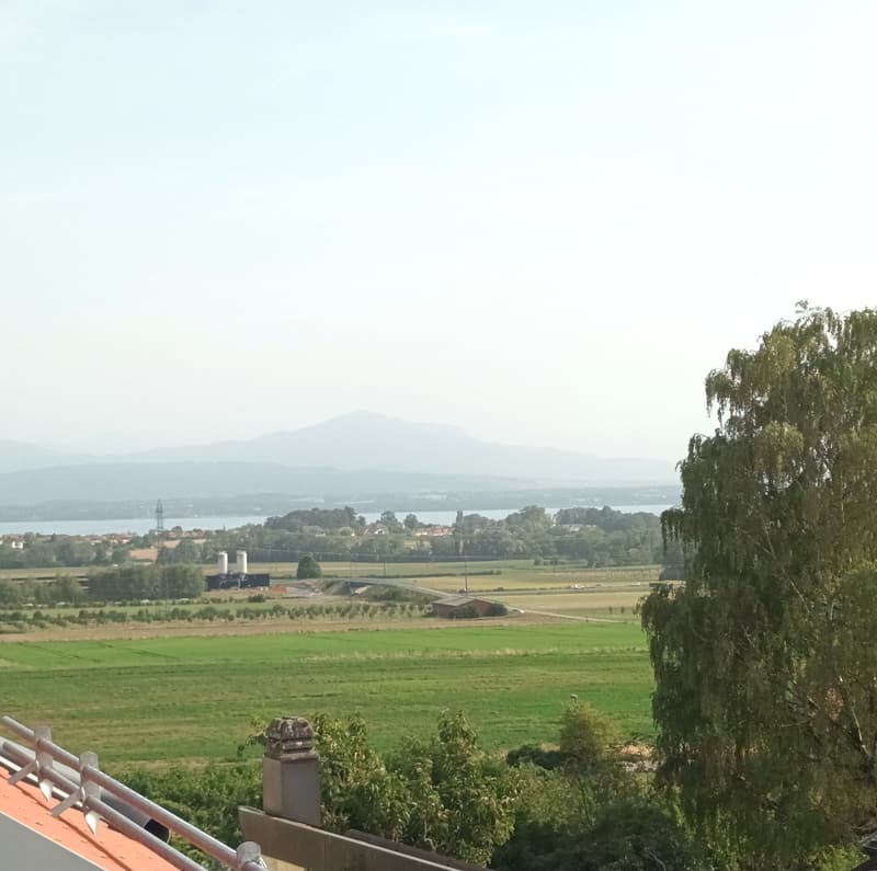Superbe attique neuf de 4.5 pièces avec vue lac à l'horizon (2)