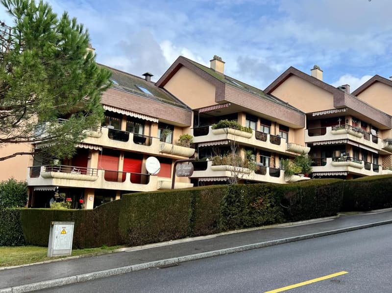 Très bel appartement sur les hauts de Montreux ! (1)