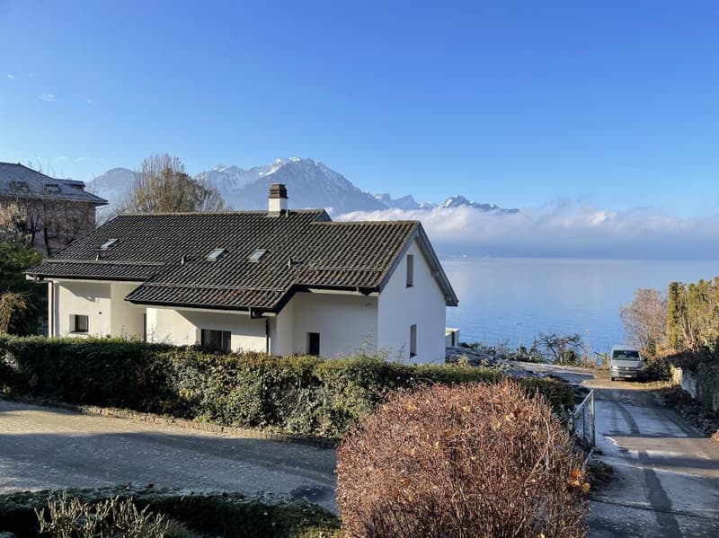 Exclusif ! Superbe villa contemporaine - Vue à couper le souffle sur le lac, les montagnes et la Riviera. (2)