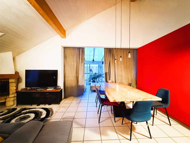 Spacieux et lumineux logement avec grande terrasse - Loué (3)