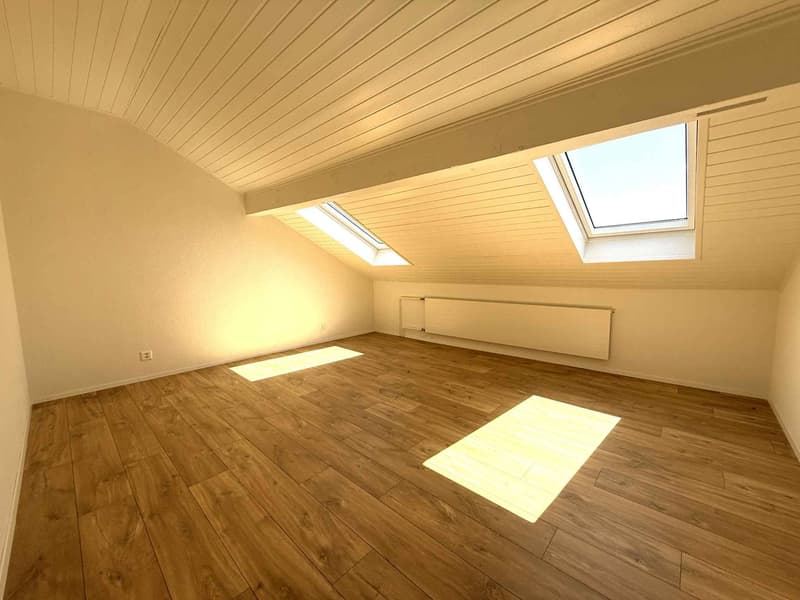 Rénovation totale, magnifique appartement situé dans les combles (type loft) (6)