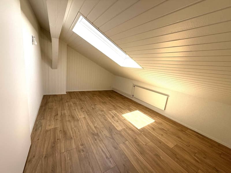 Rénovation totale, magnifique appartement situé dans les combles (type loft) (7)