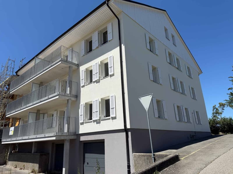 Rénovation totale, magnifique appartement situé dans les combles (type loft) (8)
