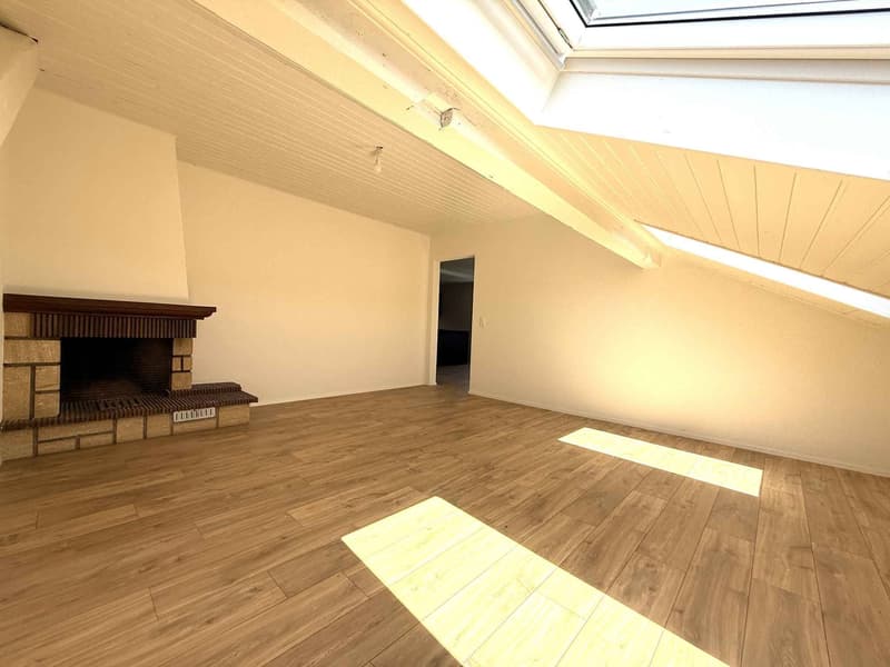 Rénovation totale, magnifique appartement situé dans les combles (type loft) (3)