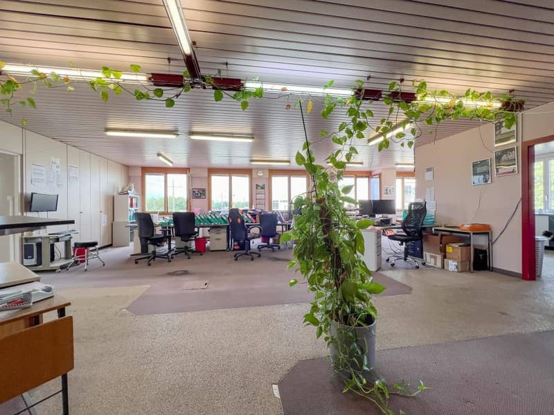 Administratif/Bureau 425.5 m2 à Morges (12)