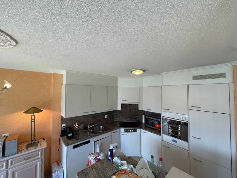 VASTE ET LUMINEUX LOGEMENT DE 3,5 PIECES DE 98M2 AVEC GRANDE TERRASSE DE 16M2 - VUE SUR LE LAC ET LES MONTAGNES (7)